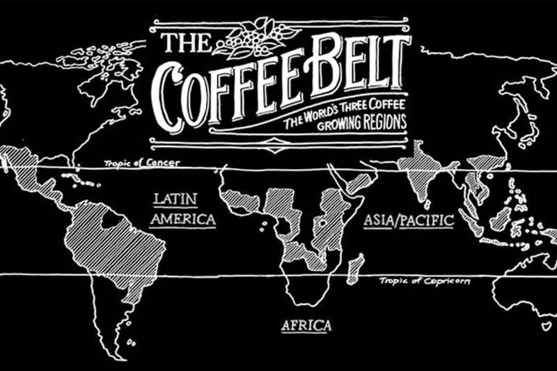 Coffee belt